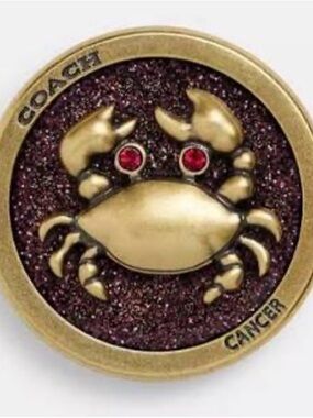 COACH Cancer Zodiac Souvenir Pin CBV61 NWT Sealed Crystal Collectible